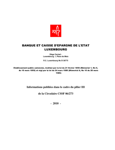 Bâle II Rapport Pilier 3 2010