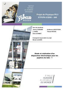 Projet de Physique P6-3 STPI/P6-3/2008 – 040