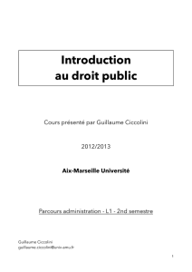 Plaquette intro public - Aix*Marseille Université