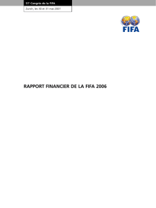 rapport financier de la fifa 2006