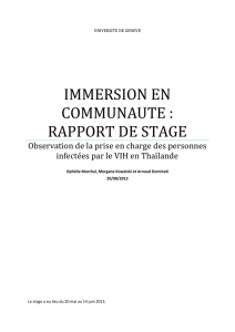 IMMERSION EN COMMUNAUTE : RAPPORT DE STAGE