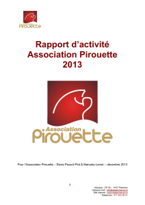 Rapport d`activité Association Pirouette 2013