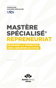 mastère spécialisé