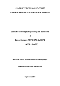 Memoire Anabelle COMBES - UTEP du CHU de Besançon