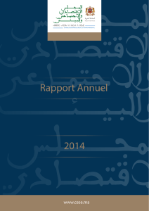 Rapport Annuel 2014