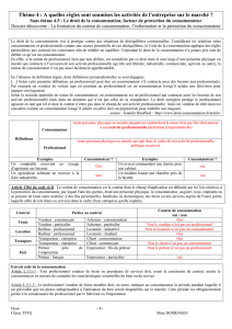 Thème - stg nerac