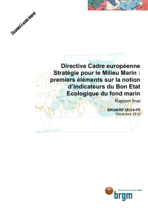 Directive Cadre européenne Stratégie pour le - Infoterre