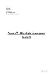 Cours n°3 : Histologie des organes des sens - L3 Bichat 2013-2014