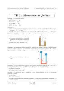 TD 2 : Mécanique de fluides