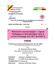 thèse - Portail malien d`information de santé