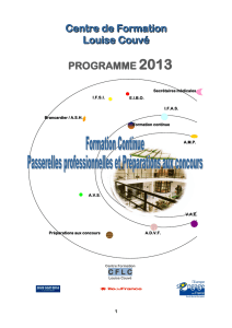 Centre de Formation Louise Couvé PROGRAMME 2013