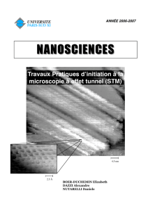 Travaux Pratiques d`initiation à la microscopie à effet tunnel (STM)