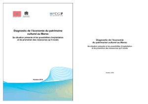 Diagnostic de l`&eacute;conomie du patrimoine culturel au Maroc