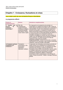 Croissance fluctuations et crises