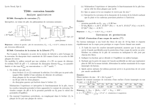 TD06 : corrosion humide Analyse qualitative Corrosion et protection