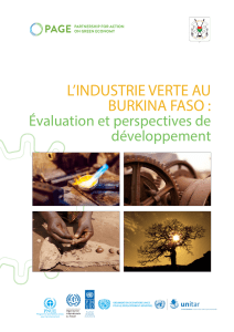 l`industrie verte au burkina faso