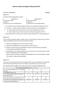 Brevet Centres étrangers Liban juin 2010
