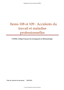 Items 108 et 109 : Accidents du travail et maladies professionnelles
