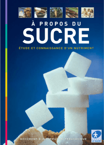 À PROPOS DU - Sucre INFO