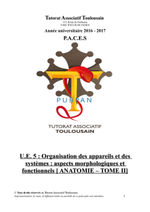 ANATOMIE – TOME II - Tutorat Associatif Toulousain
