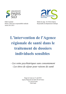 Mémoire de stage - Université Paris Sud 11, Faculté Jean Monnet