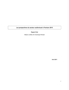 Rapport D. Richard sur les perspectives du secteur audiovisuel à l