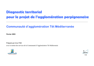 Diagnostic territorial pour le projet de l`agglomération perpignanaise