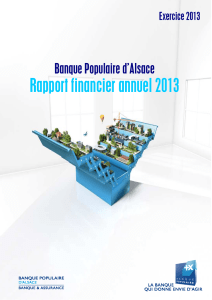 Rapport Financier Annuel BPALS 2013