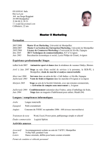 Master II Marketing Formation Expérience professionnelle