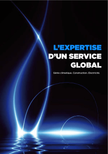l`expertise d`un service global