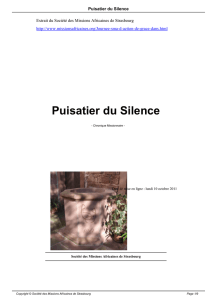 Puisatier du Silence - Société des Missions Africaines de Strasbourg