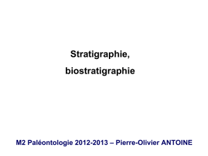 fossiles stratigraphiques
