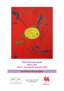 La synthèse des projets présentés