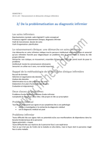 2/ De la problématisation au diagnostic infirmier - Fiches