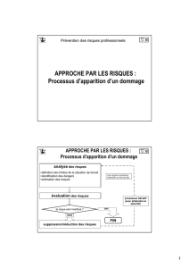 approche par les risques Processus d`apparition d`un