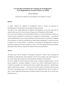 Tunisia - Le développement par les petits métiers en Tunisie