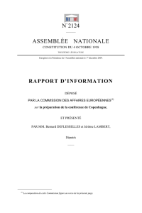 rapport d`information