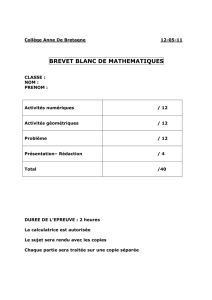 brevet blanc N°2 12 mai 2011 - Collège Anne de Bretagne