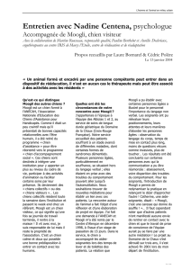 interviews_centena (PDF 21.42 ko)