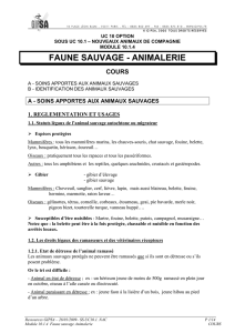 04 Faune sauvage Animalerie Cours v0109
