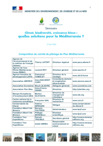 2. Composition du comité de pilotage du Plan Méditerranée