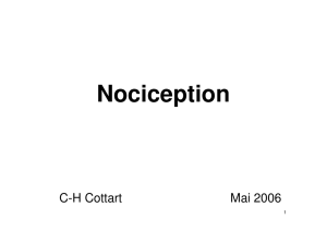 Nociception