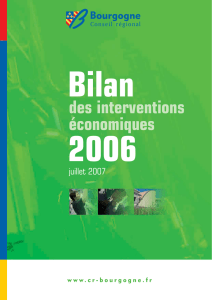 Bilan 2006 - J`entreprends en Bourgogne