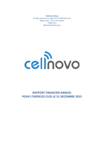 Rapport Financier Annuel 2015