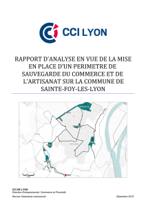 Annexe rapport n° 2 - Sainte Foy-Lès-Lyon