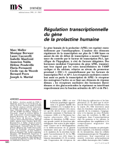 Régulation transcriptionnelle du gène de la - iPubli