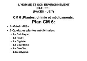 Plantes, chimie et médicaments.