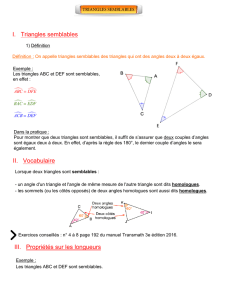 Cours triangles semblables version Prof