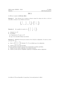 MM2, groupe 1M1ECO – DM 2 Matrices. N. Laillet laillet@math