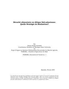 Sécurité alimentaire en Afrique Sub-saharienne: Quelle Stratégie de